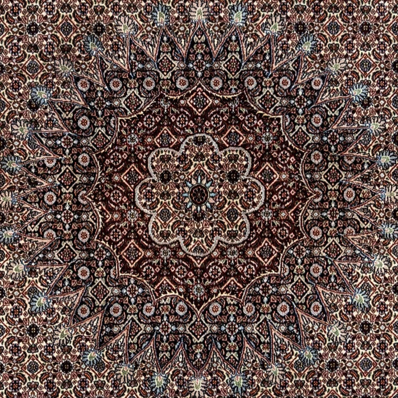 Moud Tapete 344x246cm - Tapete persa