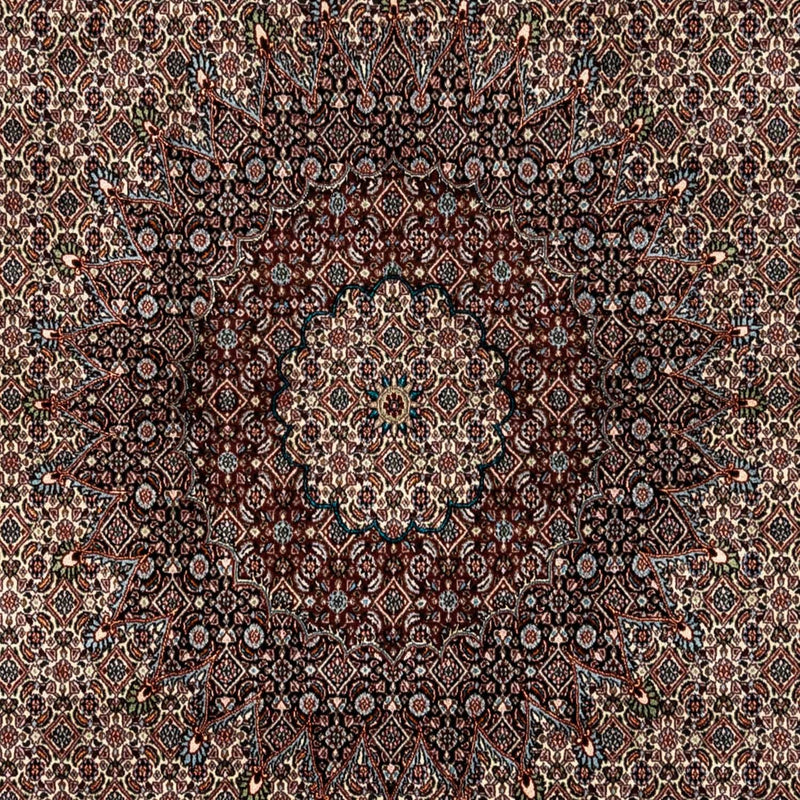 Moud Tapete 333x248cm - Tapete persa