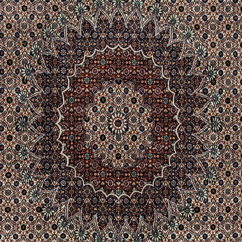 Moud Tapete 243x342cm - Tapete persa