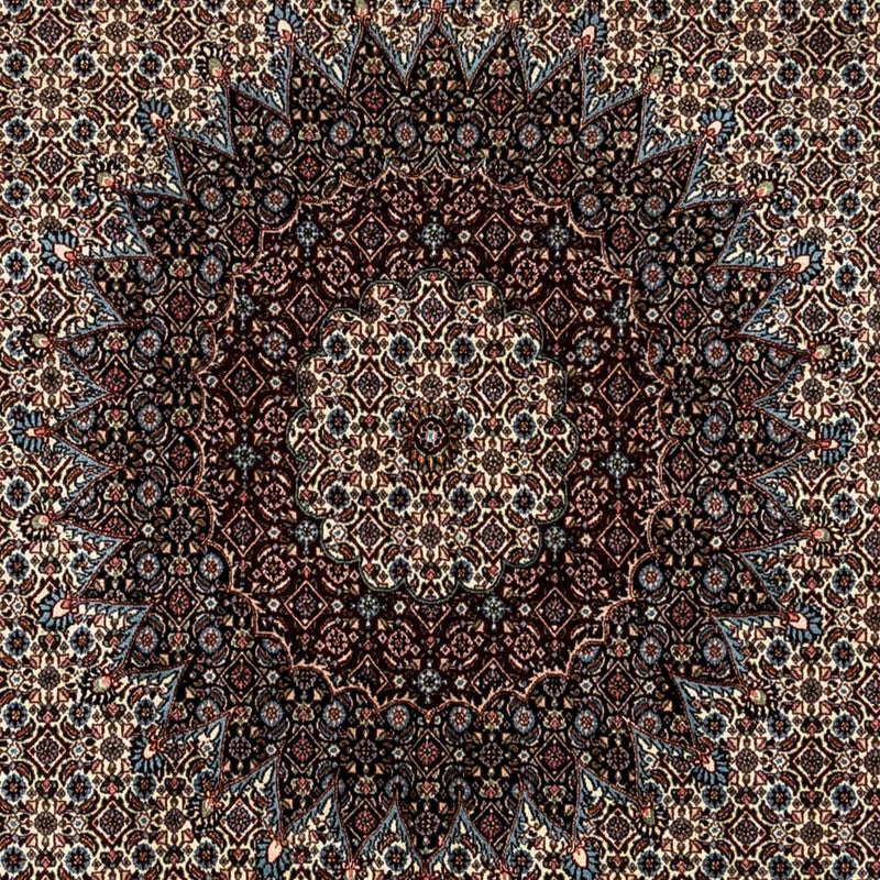 Moud Tapete 248x343cm - Tapete persa