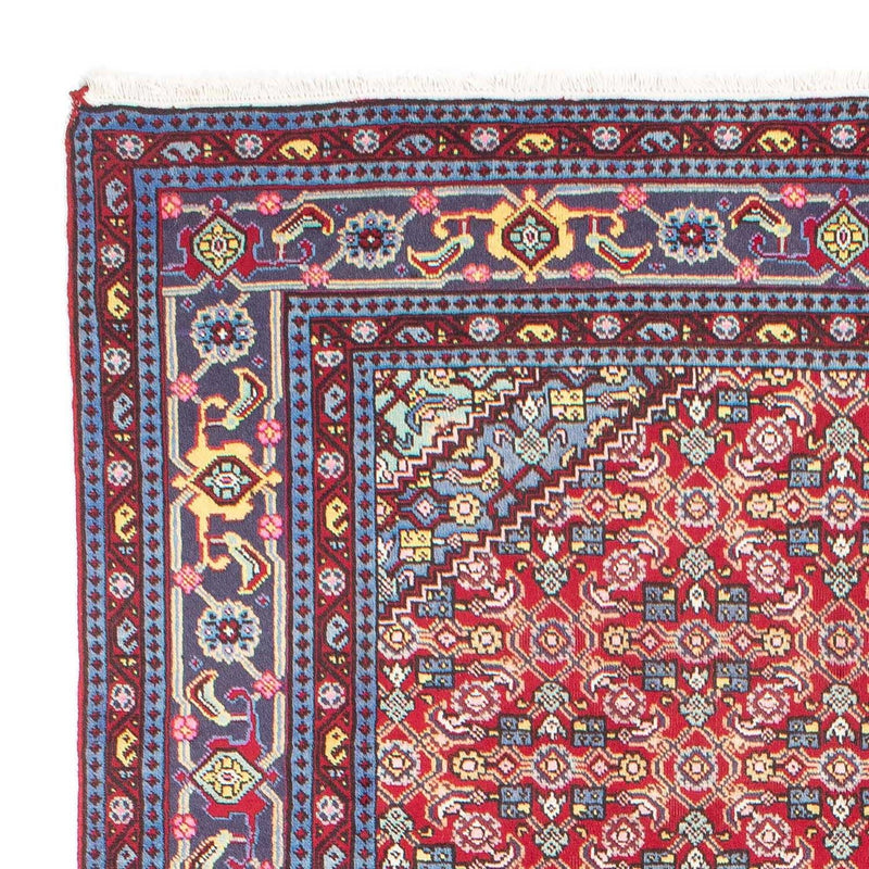 Ardabil Tapete 292x190cm - Tapete persa