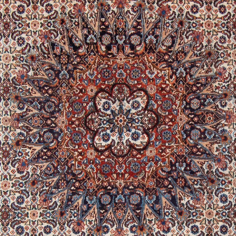 Moud Tapete 206x298cm - Tapete persa