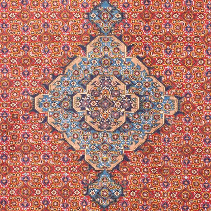 Ardabil Tapete 298x205cm - Tapete persa