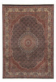 Moud Tapete 281x193cm - Tapete persa