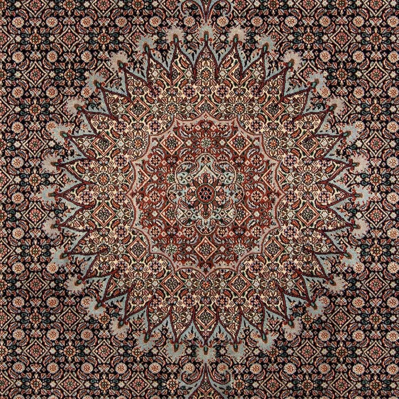 Moud Tapete 281x193cm - Tapete persa