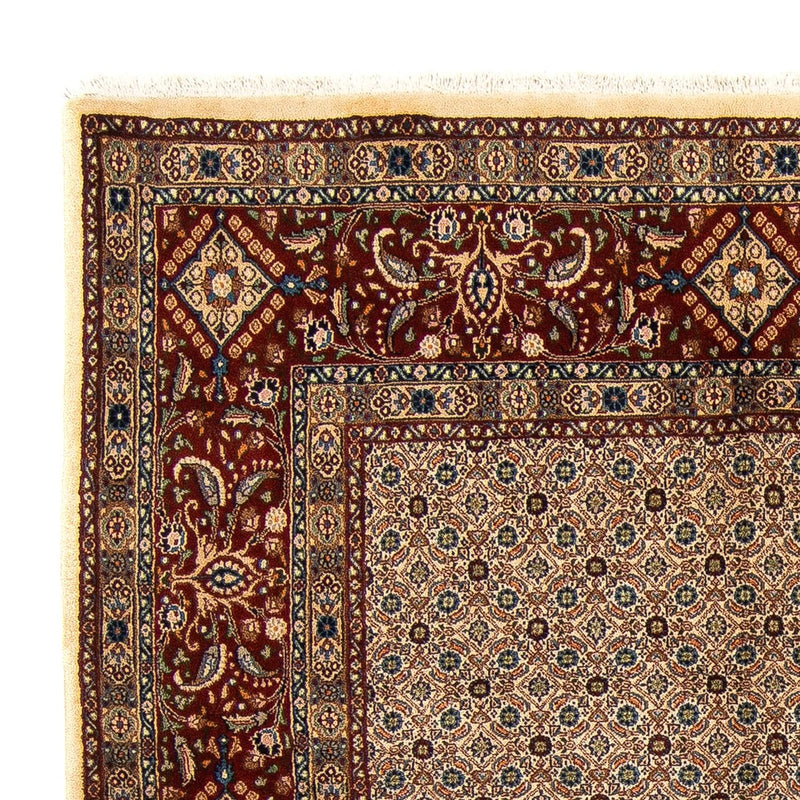 Moud Tapete 257x248cm - Tapete persa