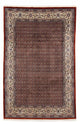 Moud Tapete 295x198cm - Tapete persa