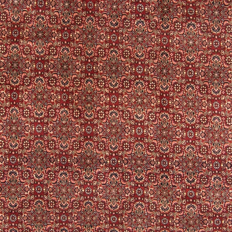Bidjar Tapete 298x200cm - Tapete persa