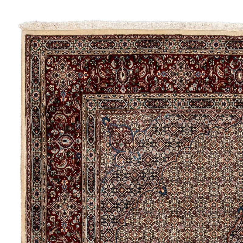 Moud Tapete 246x352cm - Tapete persa
