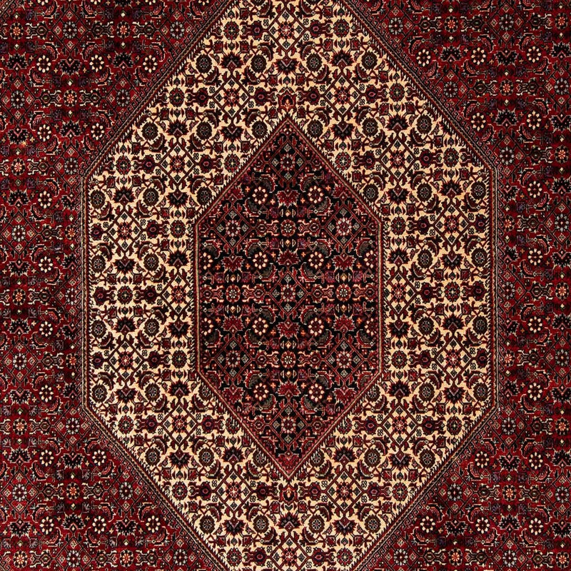 Bidjar Tapete 251x201cm - Tapete persa