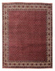 Bidjar Tapete 300x253cm - Tapete persa