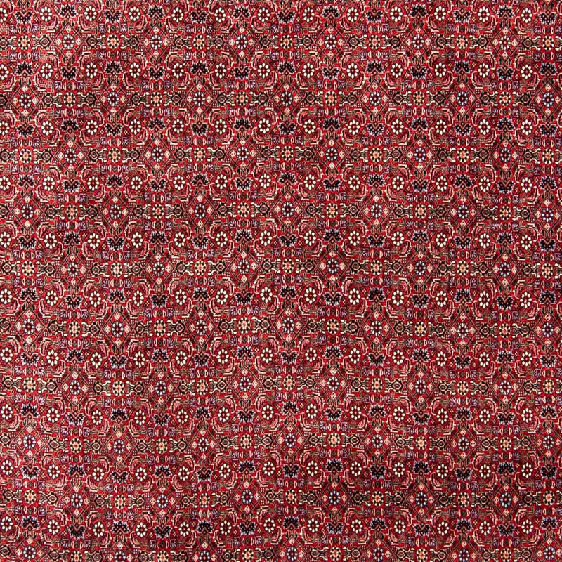 Bidjar Tapete 300x253cm - Tapete persa
