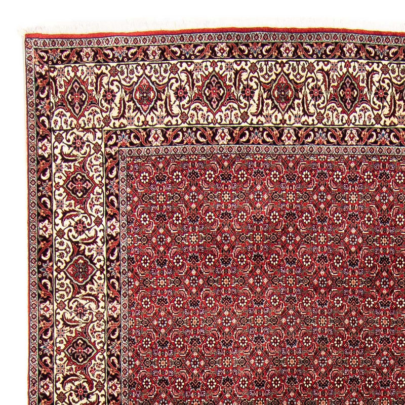 Bidjar Tapete 300x253cm - Tapete persa