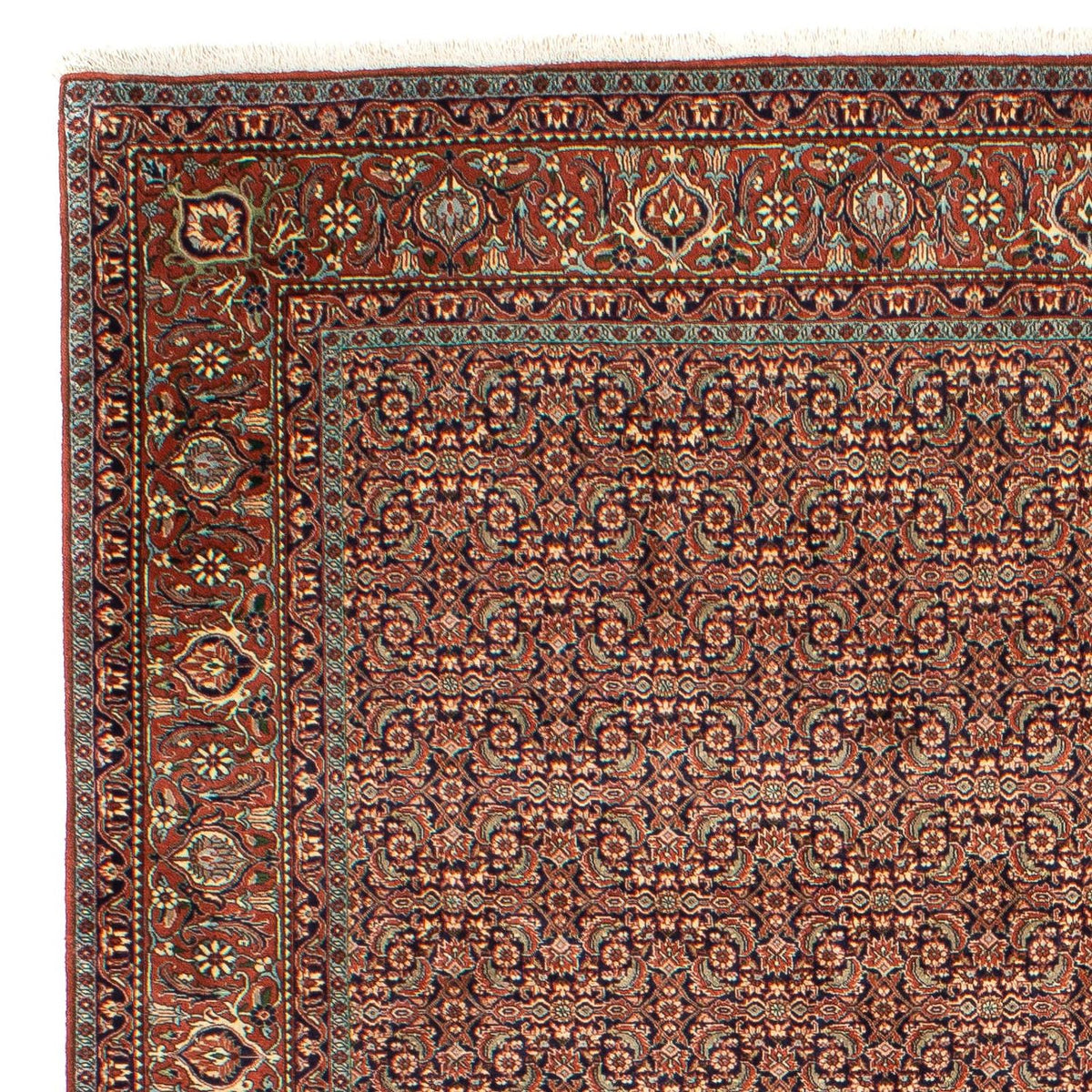Bidjar Tapete 202x298cm - Tapete persa
