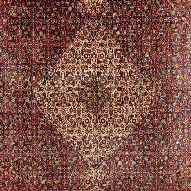 Tapete Persa - Tabriz - 392 x 310 cm - multicolorido