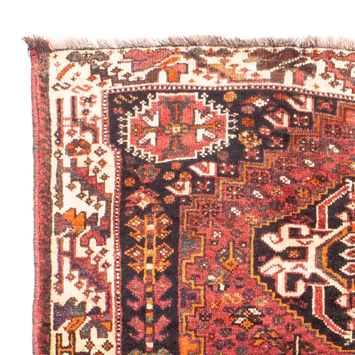 Shiraz Tapete 114x152cm - Tapete persa