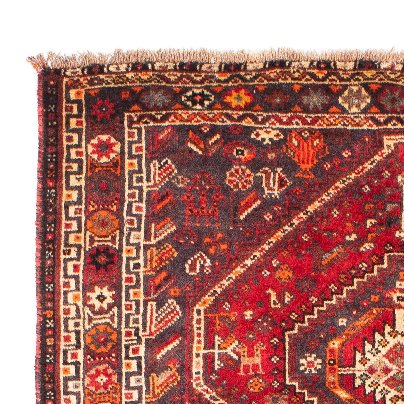 Shiraz Tapete 170x116cm - Tapete persa