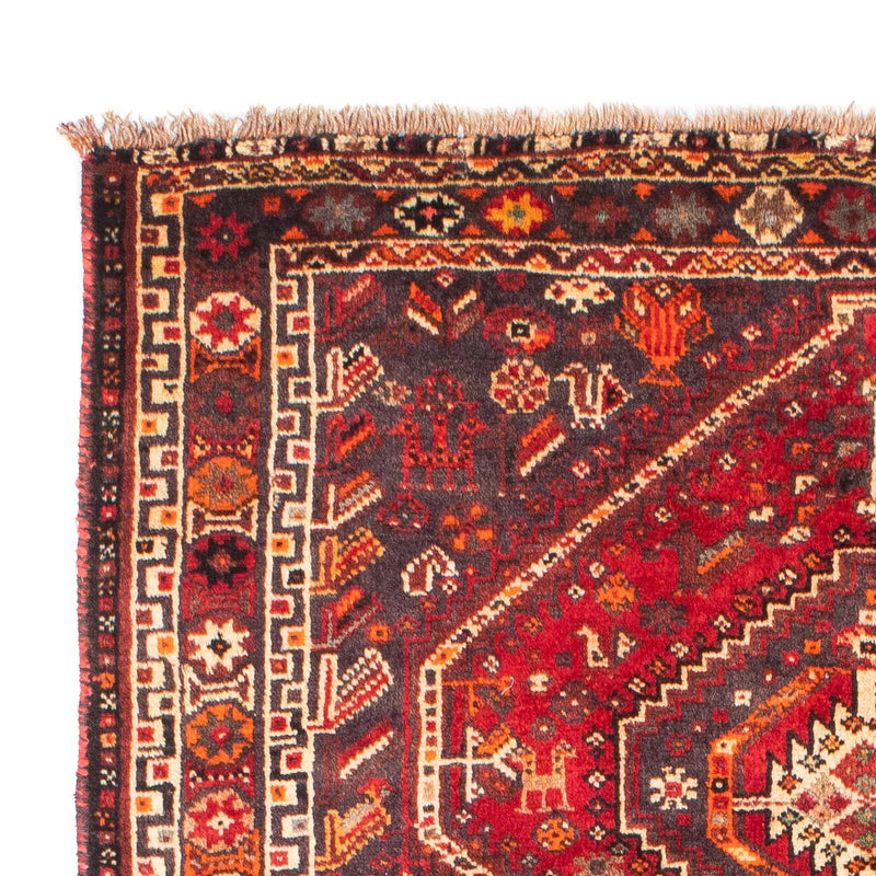 Shiraz Tapete 170x116cm - Tapete persa