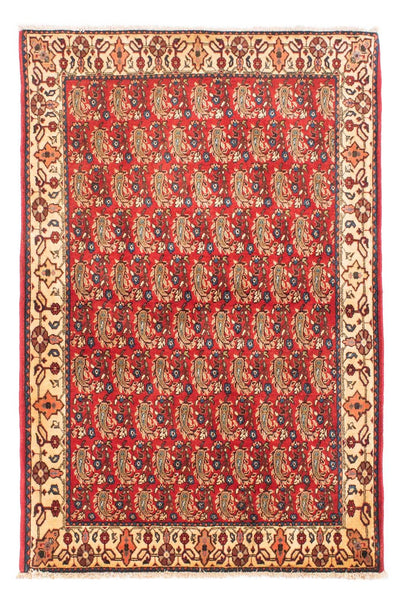 Shiraz Tapete 110x160cm - Tapete persa