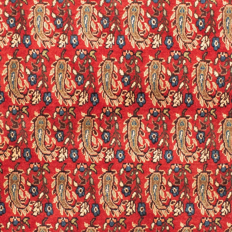 Shiraz Tapete 160x110cm - Tapete persa
