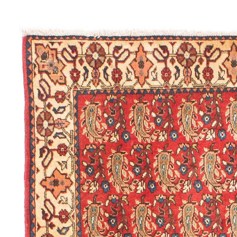 Shiraz Tapete 160x110cm - Tapete persa
