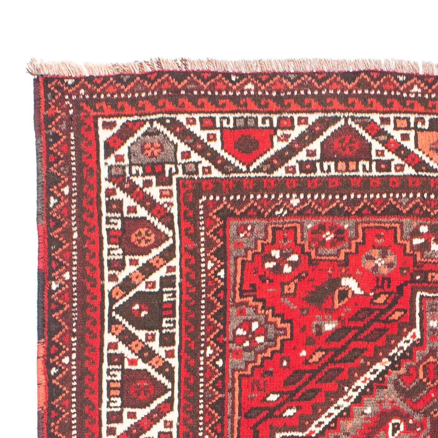 Shiraz Tapete 165x110cm - Tapete persa