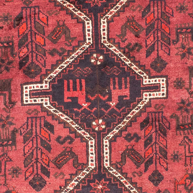 Shiraz Tapete 160x112cm - Tapete persa