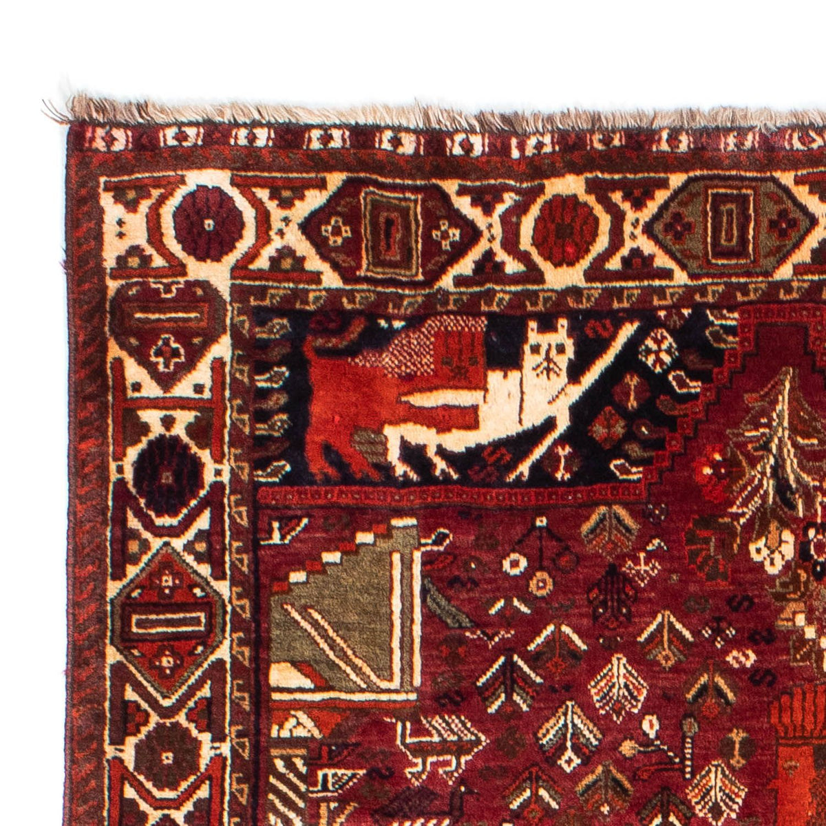 Shiraz Tapete 145x220cm - Tapete persa