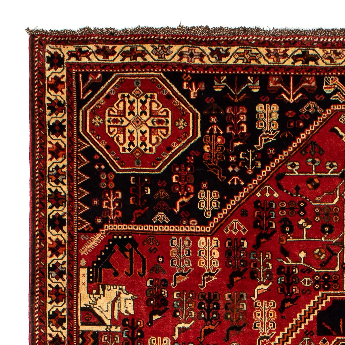 Shiraz Tapete 208x290cm - Tapete persa