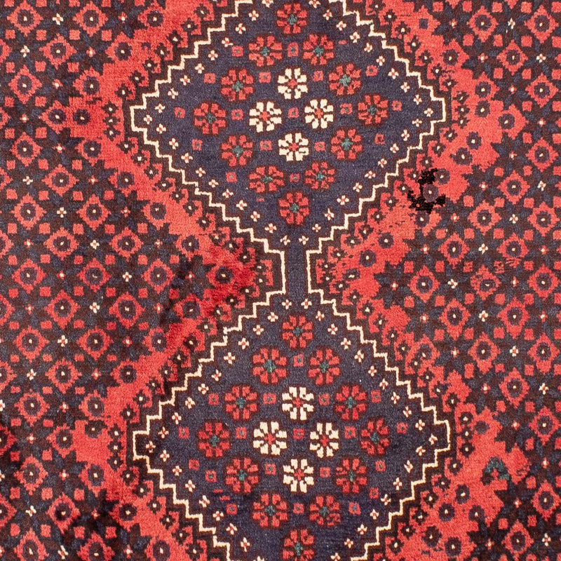 Shiraz Tapete 275x203cm - Tapete persa