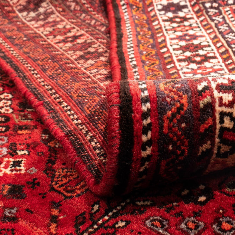 Shiraz Tapete 245x190cm - Tapete persa