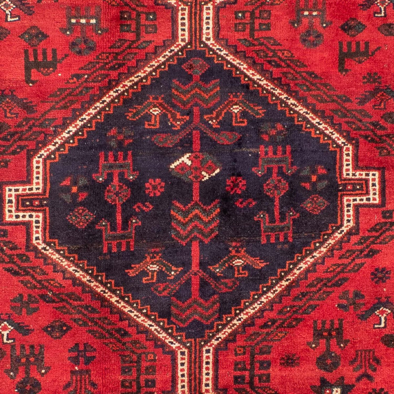 Shiraz Tapete 305x215cm - Tapete persa