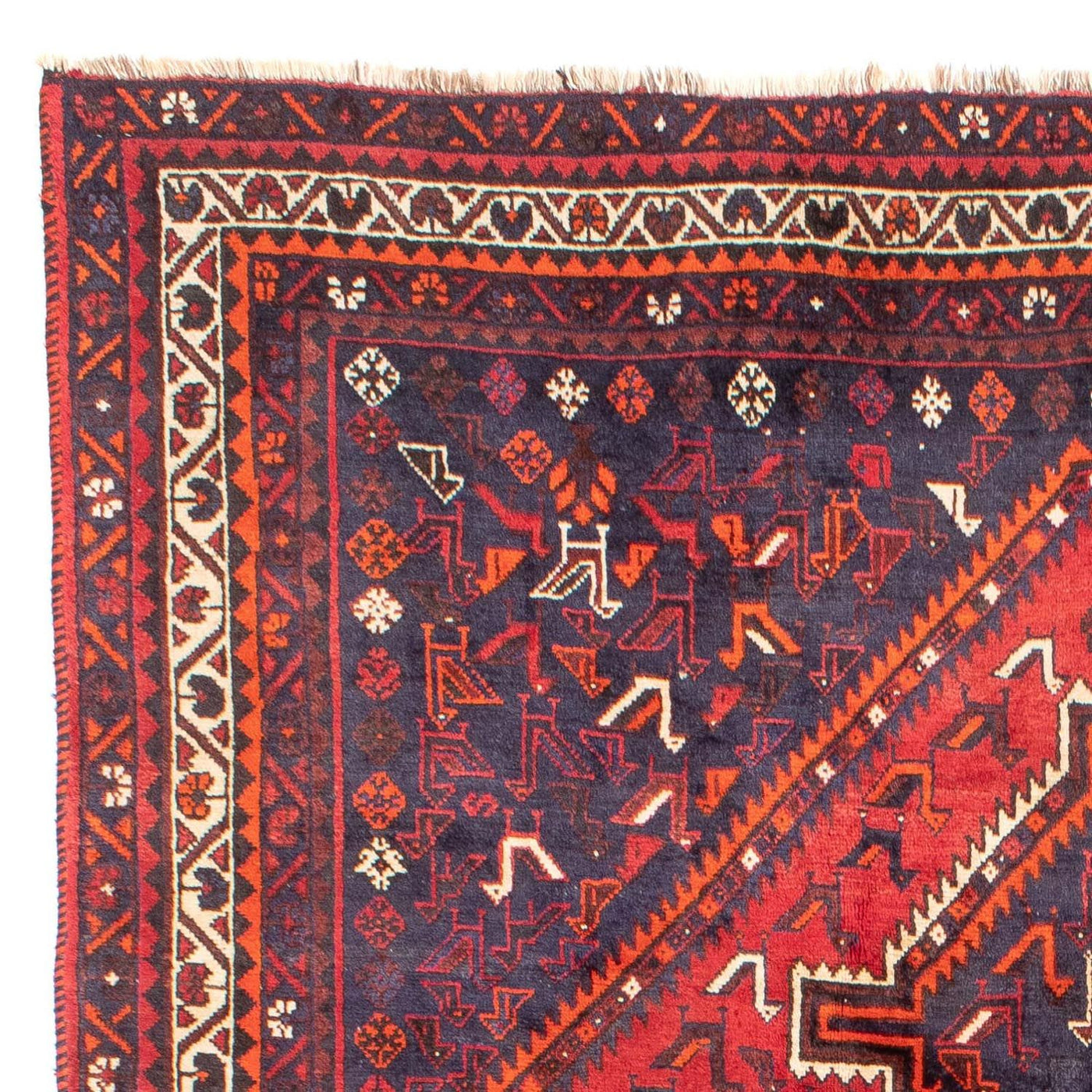 Shiraz Tapete 300x215cm - Tapete persa