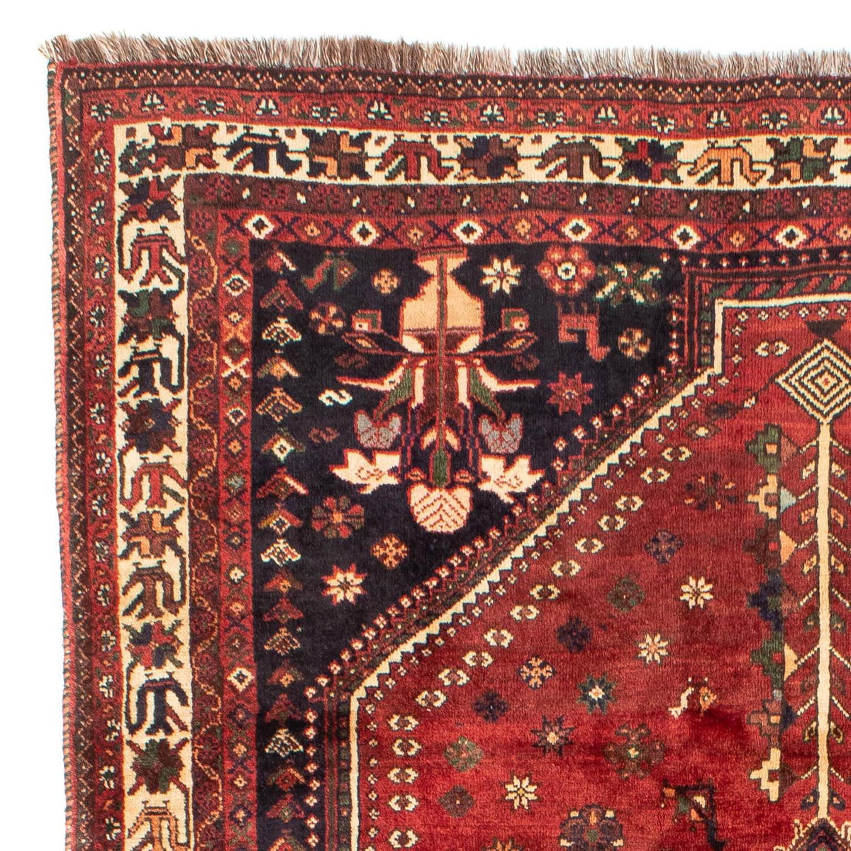 Shiraz Tapete 208x305cm - Tapete persa
