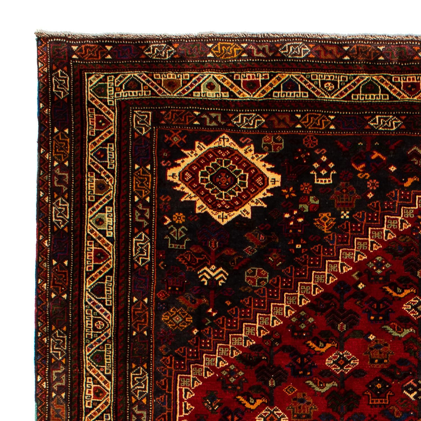Shiraz Tapete 295x210cm - Tapete persa