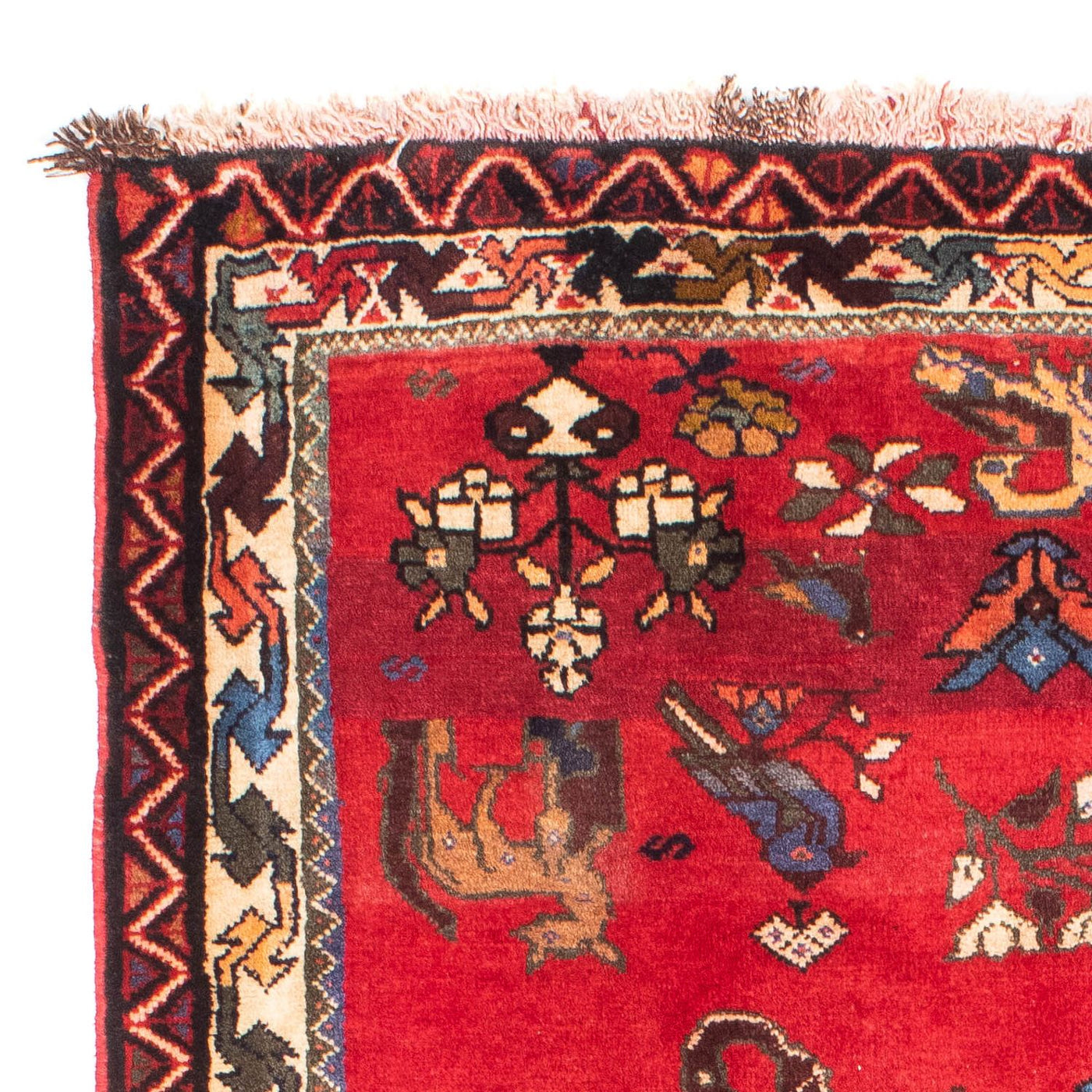 Shiraz Tapete 158x123cm - Tapete persa