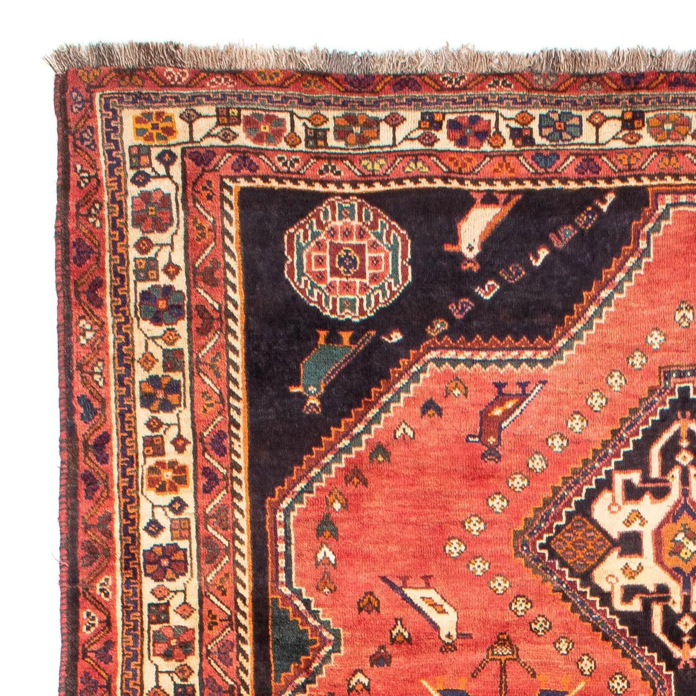 Shiraz Tapete 290x195cm - Tapete persa