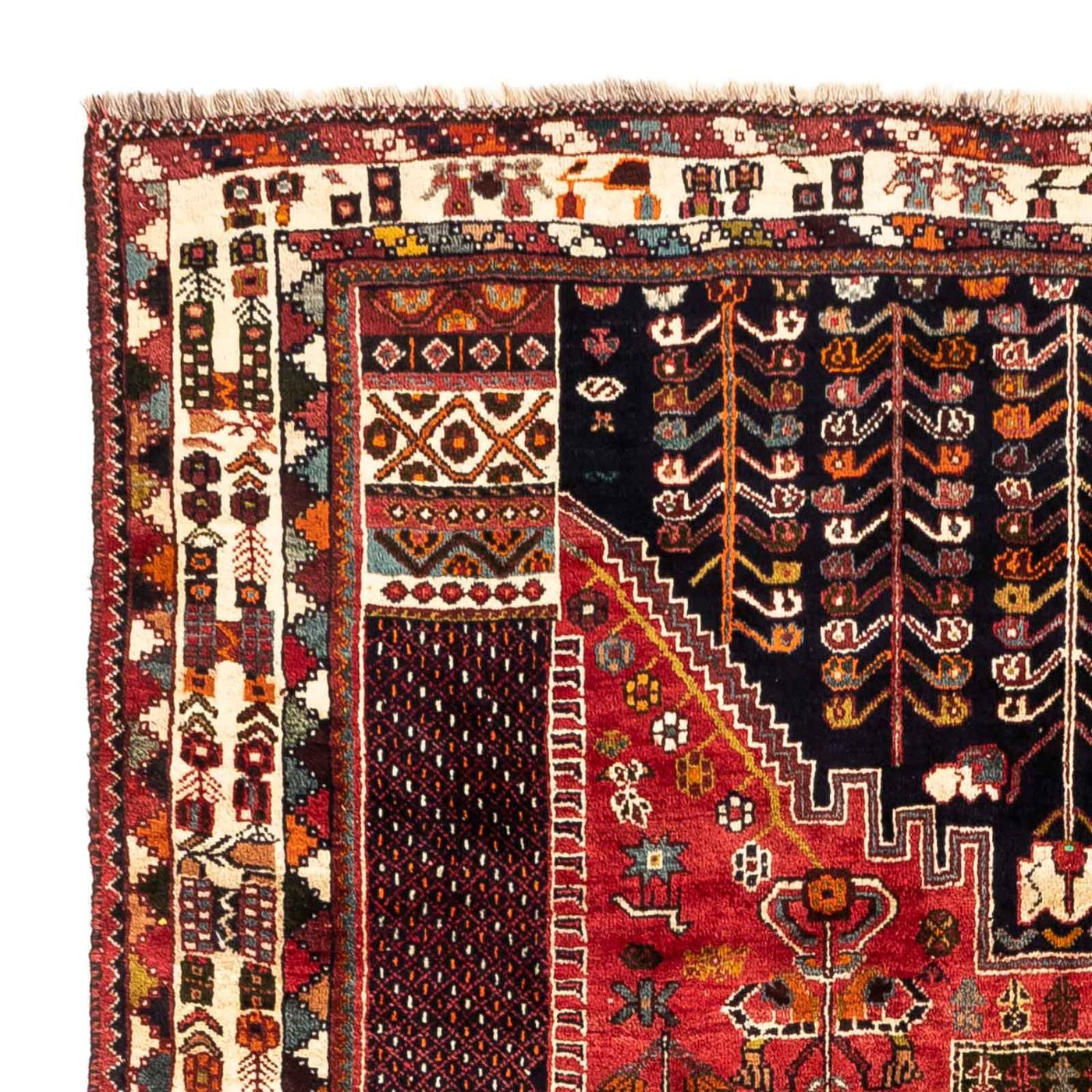 Shiraz Tapete 255x175cm - Tapete persa
