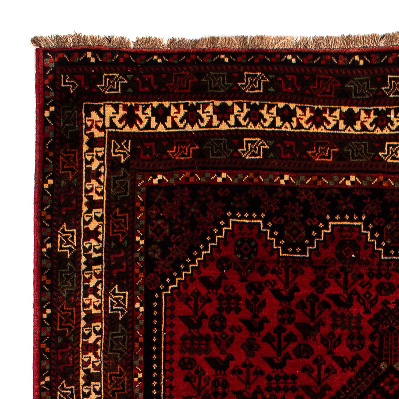 Shiraz Tapete 200x295cm - Tapete persa