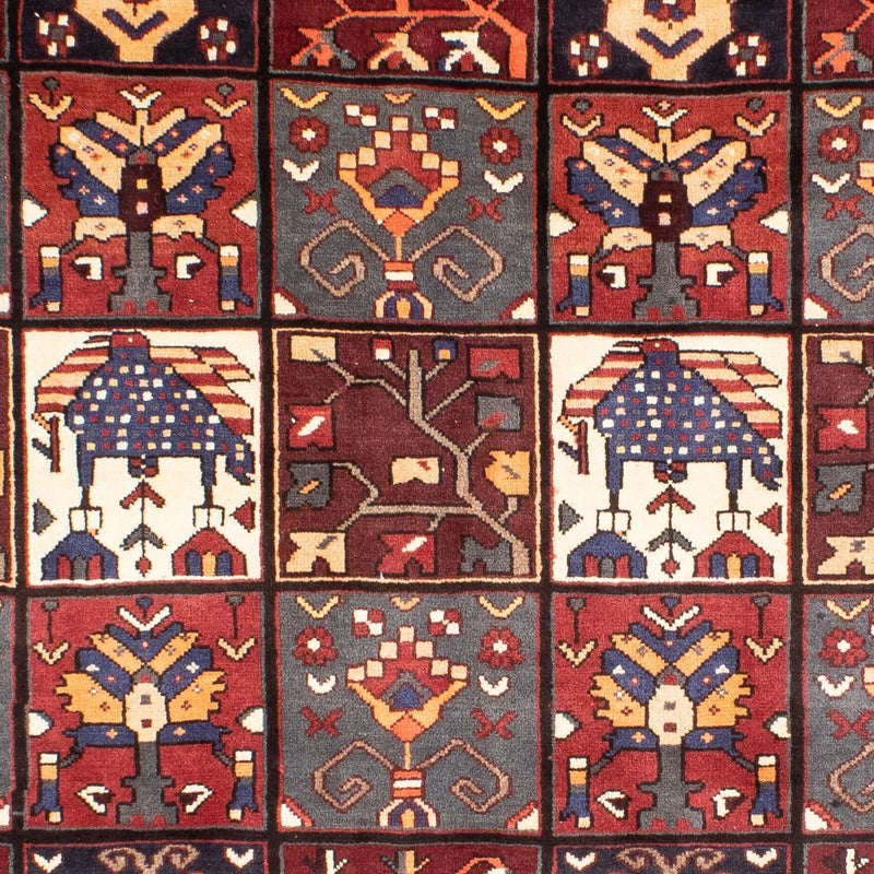 Shiraz Tapete 305x210cm - Tapete persa