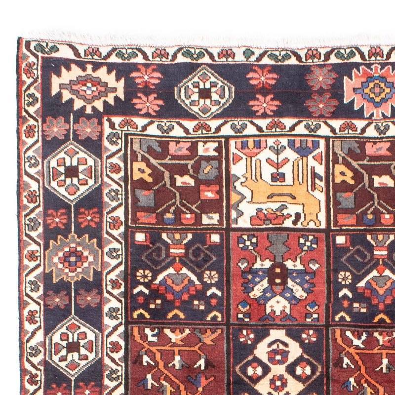 Shiraz Tapete 305x210cm - Tapete persa