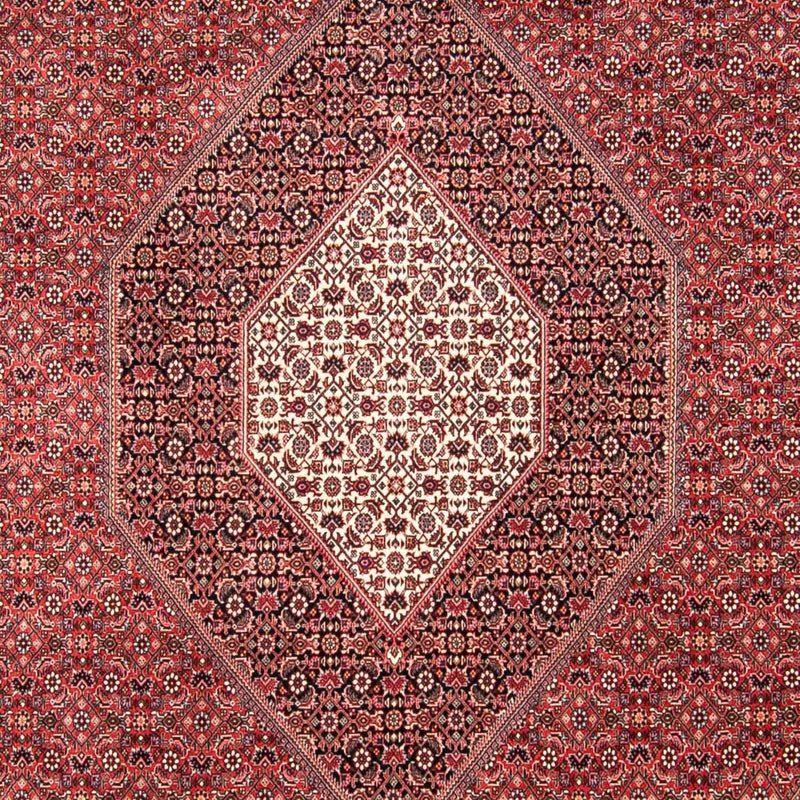 Bidjar Tapete 310x250cm - Tapete persa