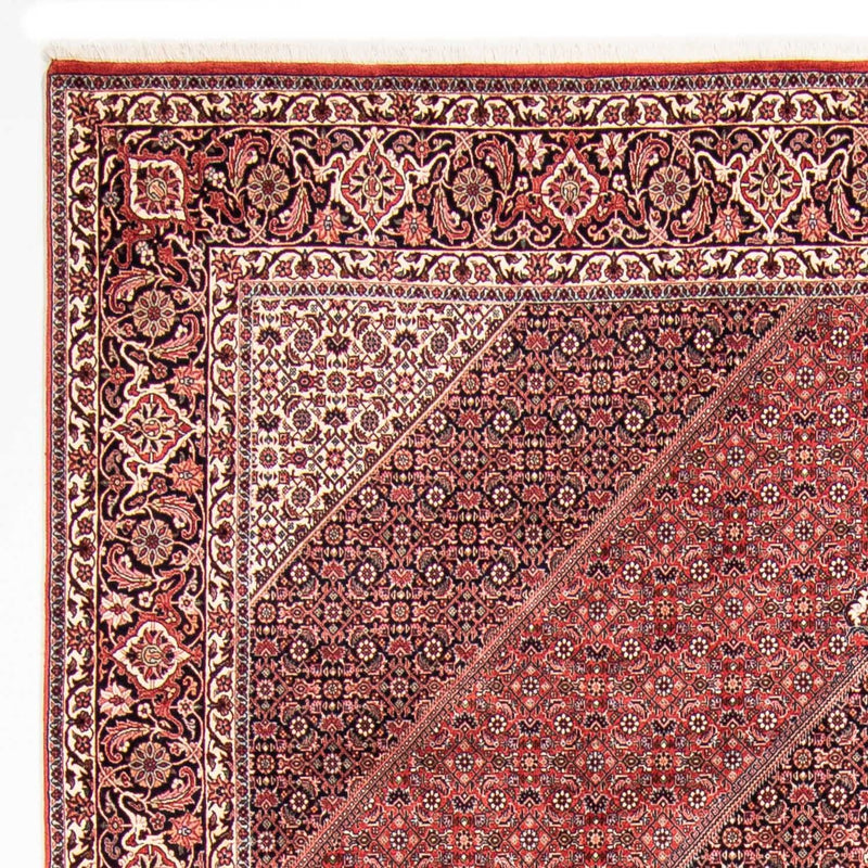 Bidjar Tapete 310x250cm - Tapete persa