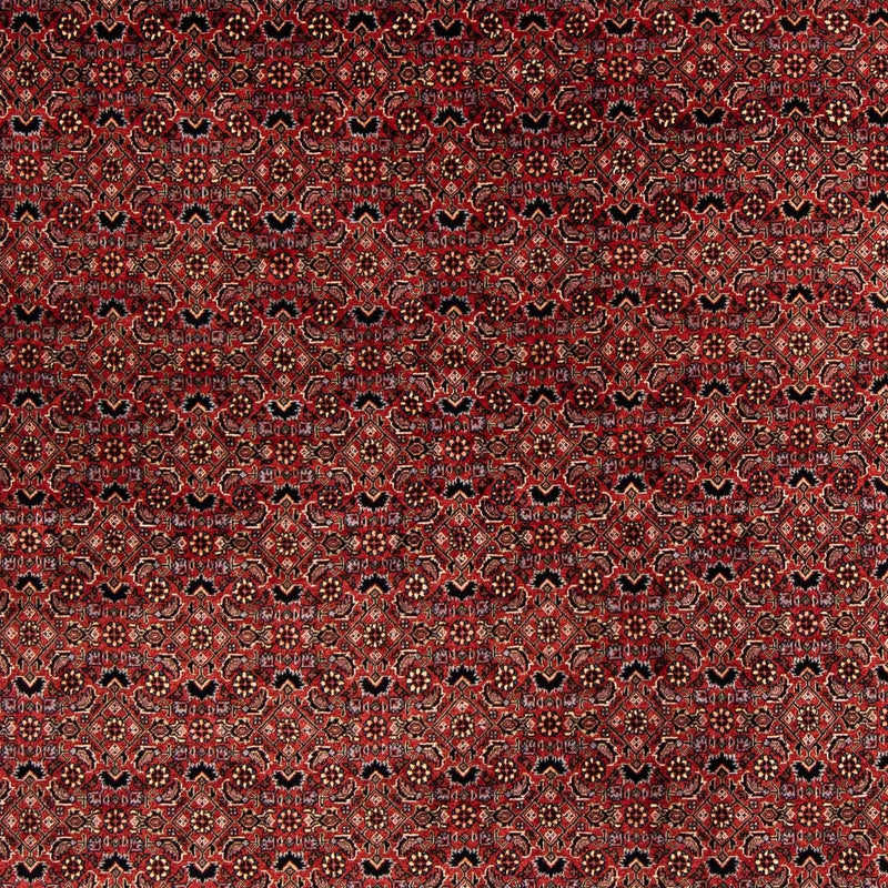 Bidjar Tapete 200x197cm - Tapete persa