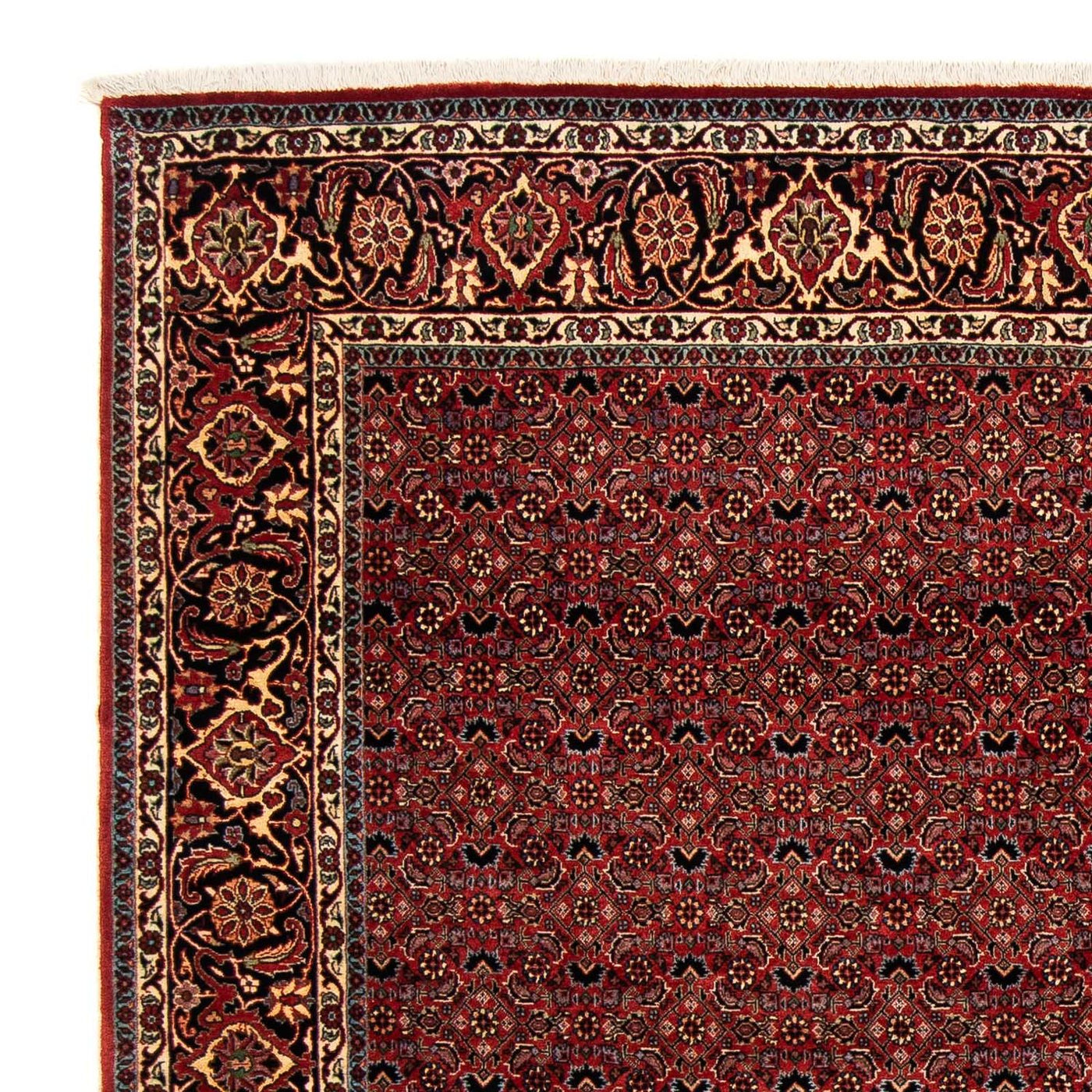 Bidjar Tapete 200x197cm - Tapete persa