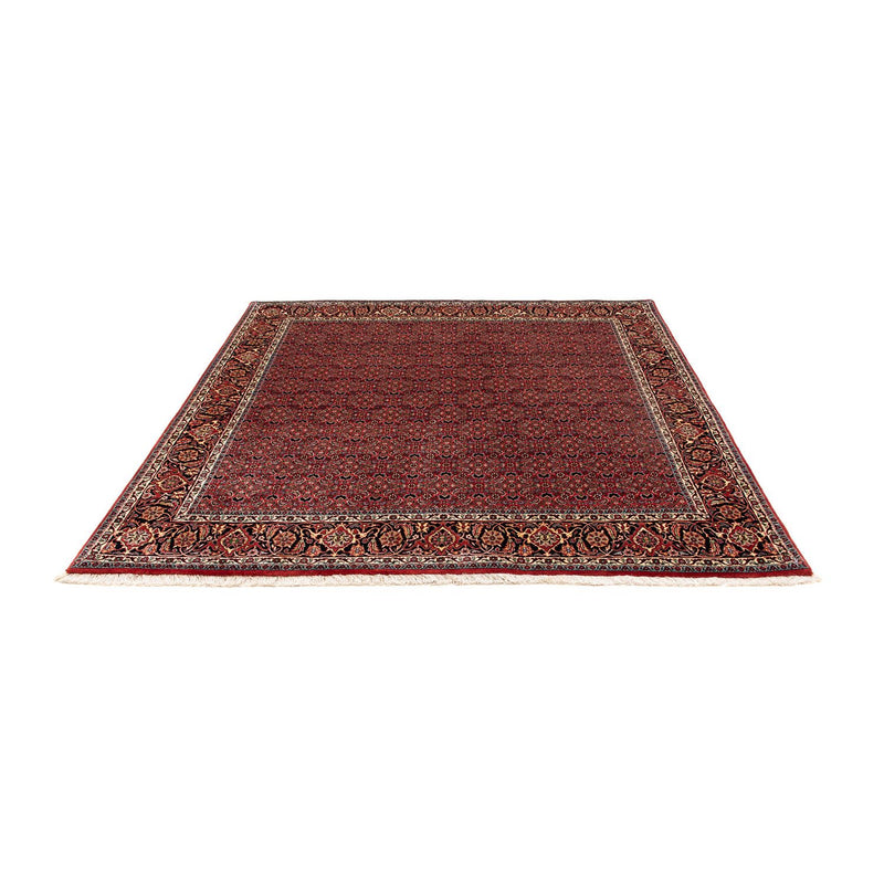 Bidjar Tapete 200x197cm - Tapete persa