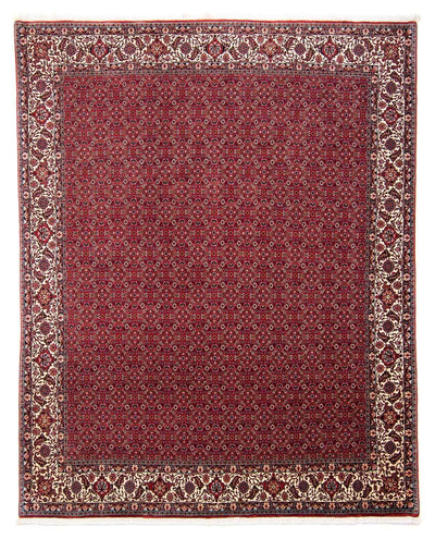 Bidjar Tapete 247x297cm - Tapete persa - vermelho