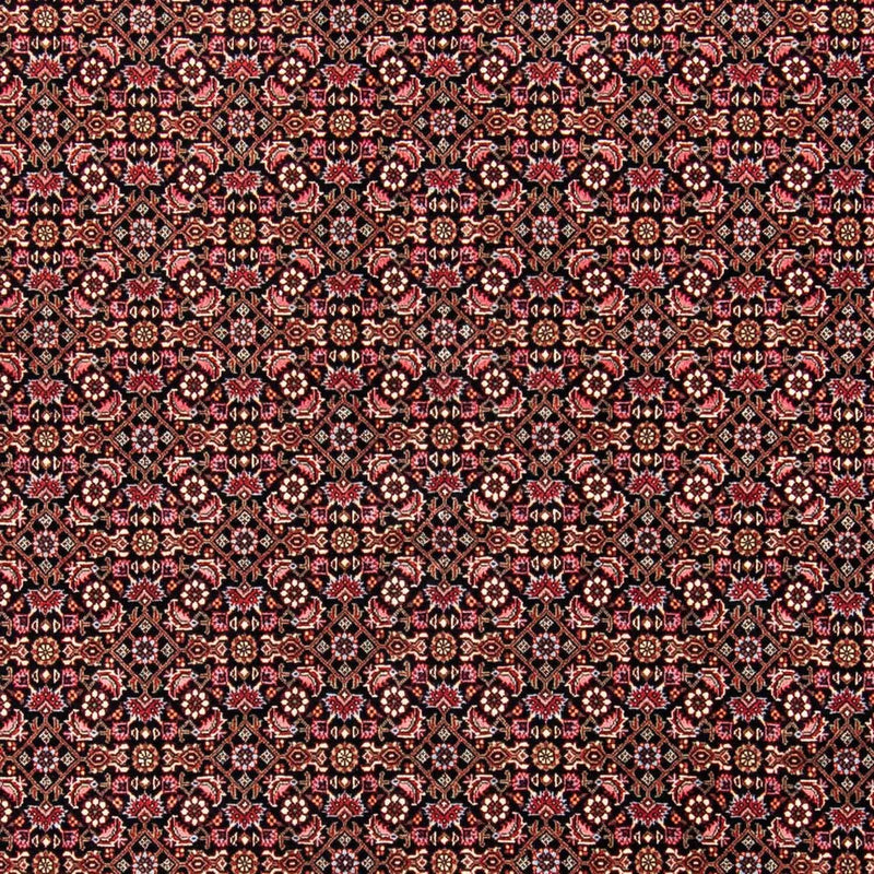 Bidjar Tapete 245x176cm - Tapete persa