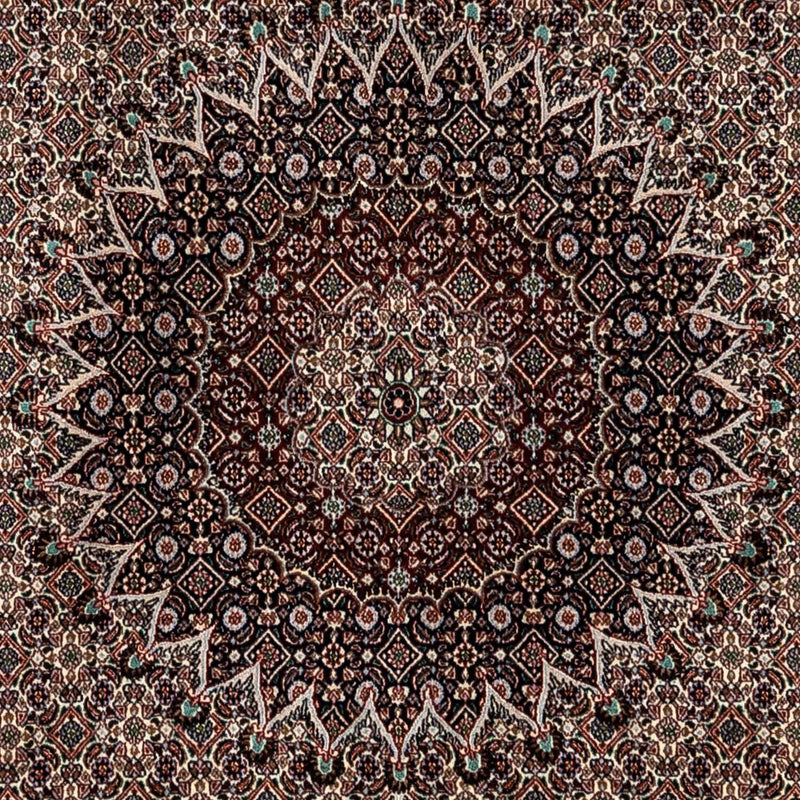Moud Tapete 253x345cm - Tapete persa