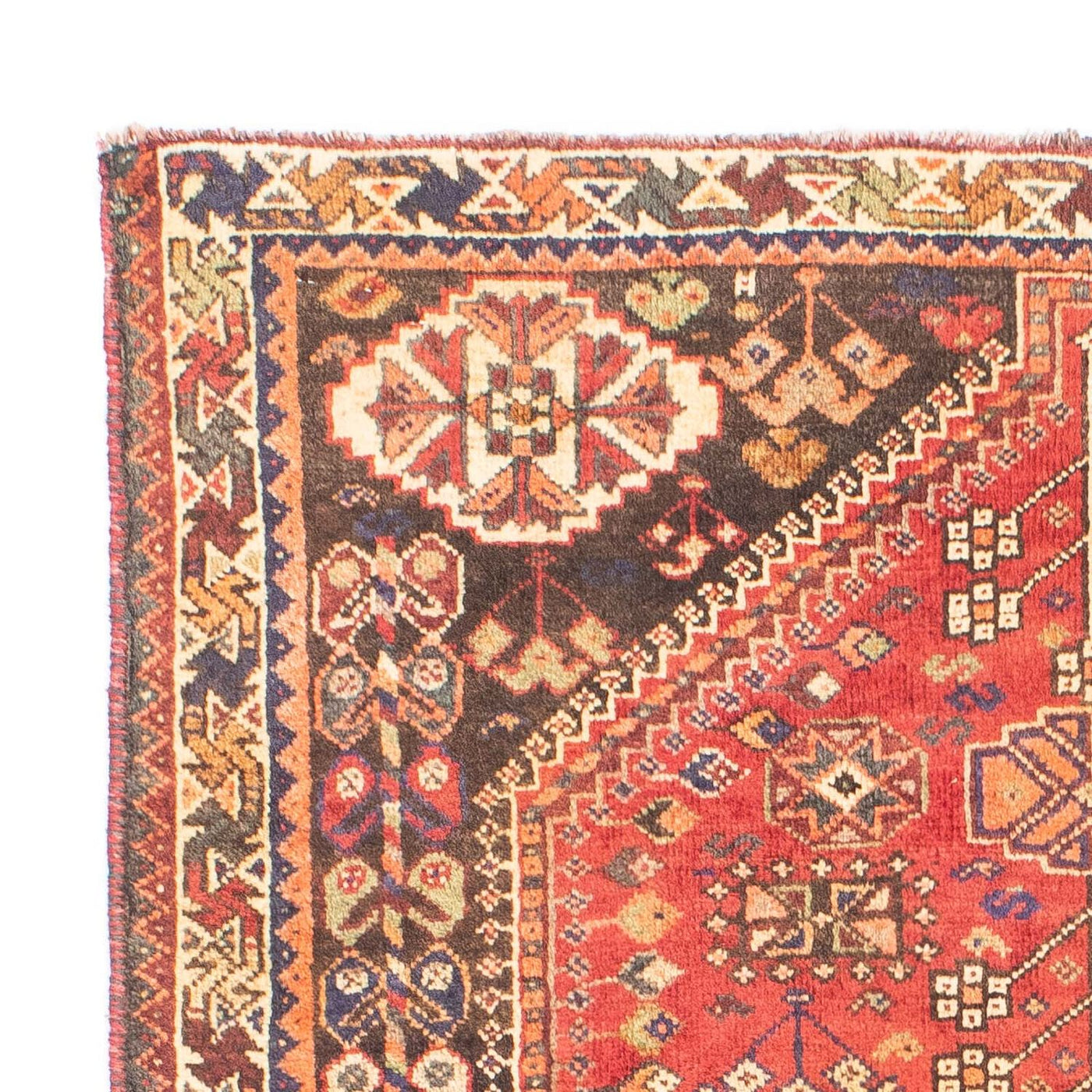 Shiraz Tapete 153x106cm - Tapete persa